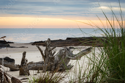 Driftwood sunrise in North Florida © John