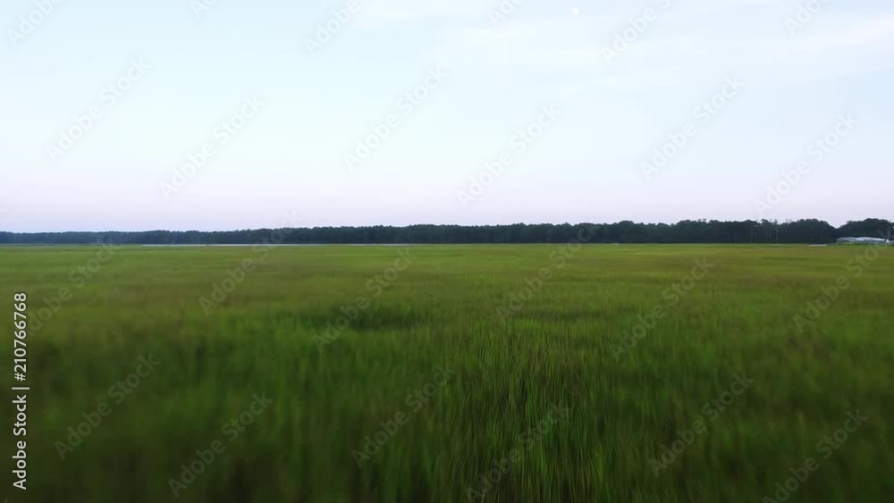 Scenic swamp landscape in Chincoteague Island, aerial