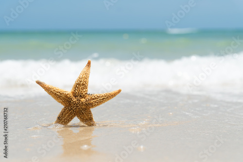 Starfish on sand beach  blue sky and soft wave background. summer holiday and vacation concept.