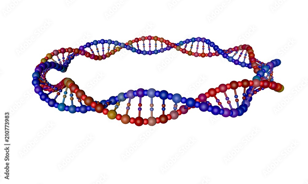 DNA strand in form of circle. 3D rendering illustration.