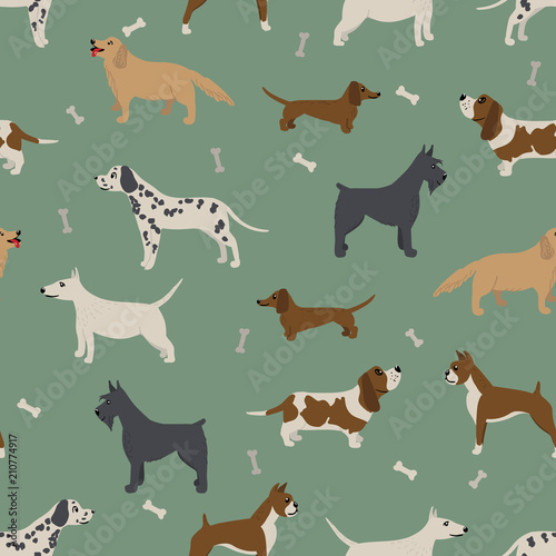 Seamless pattern with different dog breeds.