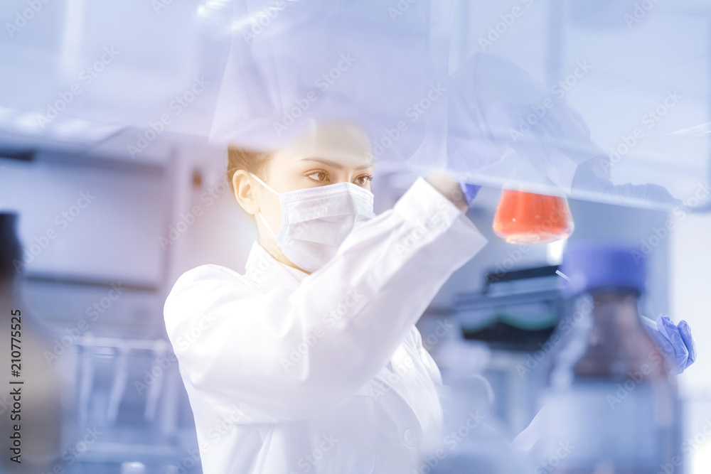 Female scientist looking at the sample in laboratory Female scientist looking at the sample in laboratory