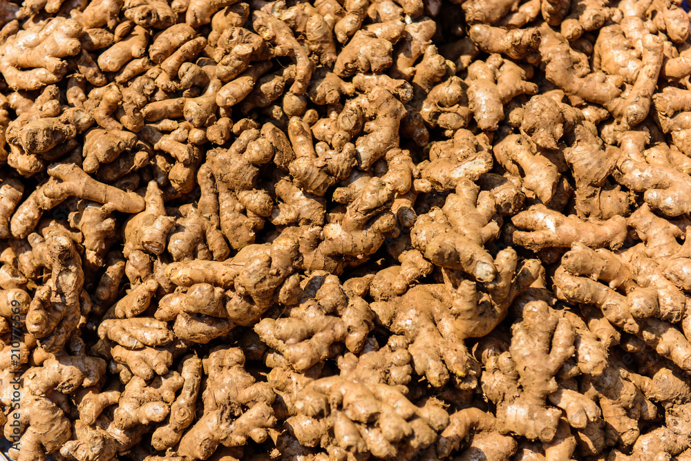 ginger ginger