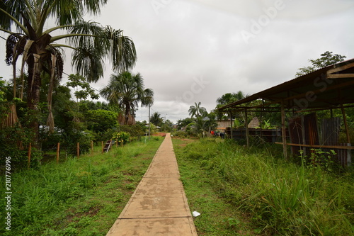 Fotografia a path heading into a local Amazon village in Peru