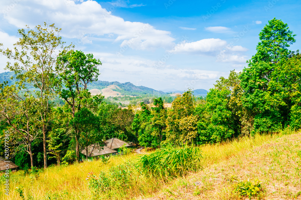 Fototapeta premium PHU KHAO YA (GRASS HILL) mountains in summer