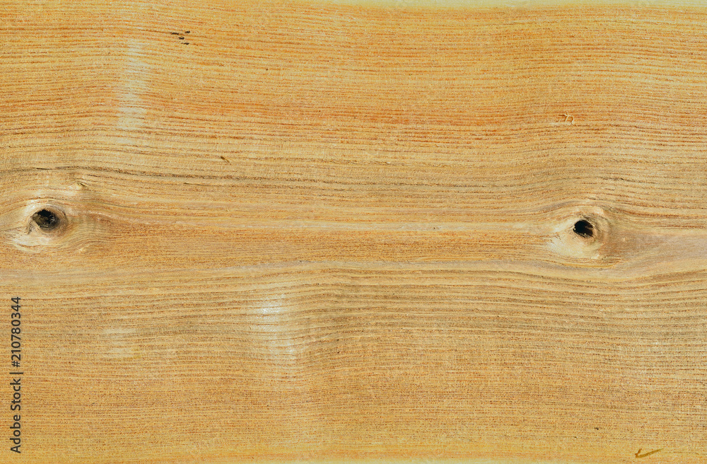 Fototapeta premium Texture of wood 5