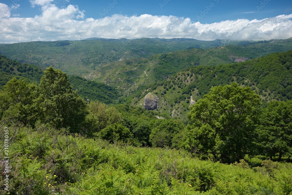 Licopeti Valley In Malabotta Nature Reserve, Sicily