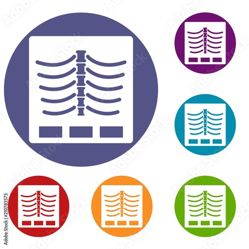 X ray photo icons set in flat circle red, blue and green color for web
