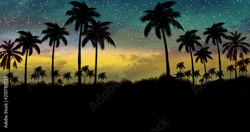 Night landscape with palm trees, against the backdrop of a neon sunset, stars