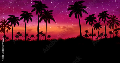 Night landscape with palm trees  against the backdrop of a neon sunset  stars