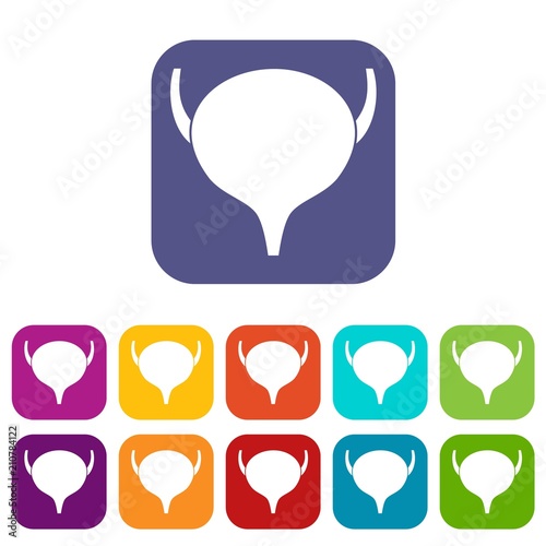 Bladder icons set vector illustration in flat style in colors red, blue, green, and other