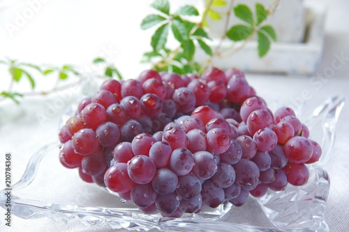 デラウェア　ぶどう　Delaware　grape