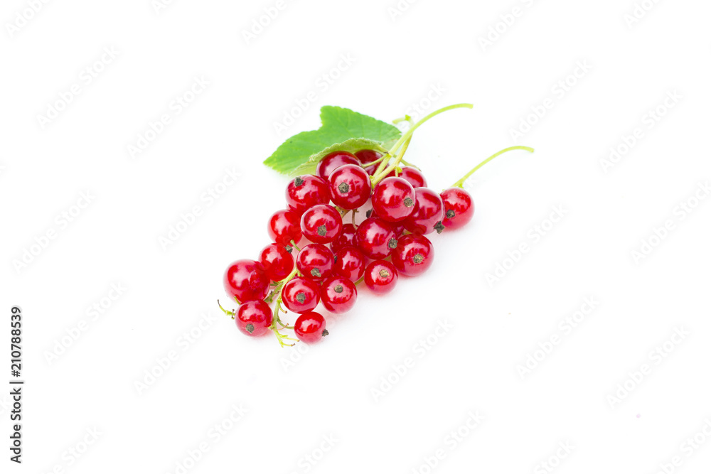 Fresh redcurrant fruit, red currant berries with green leaf, ribes rubrum, isolated on the white background Fresh redcurrant fruit, red currant berries with green leaf, ribes rubrum, isolated on the white background