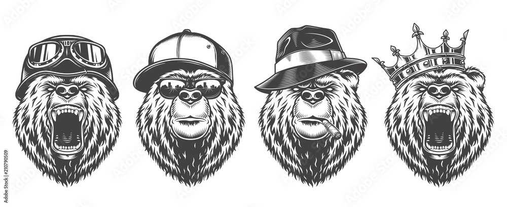Vintage logo style bear - obrazy, fototapety, plakaty 