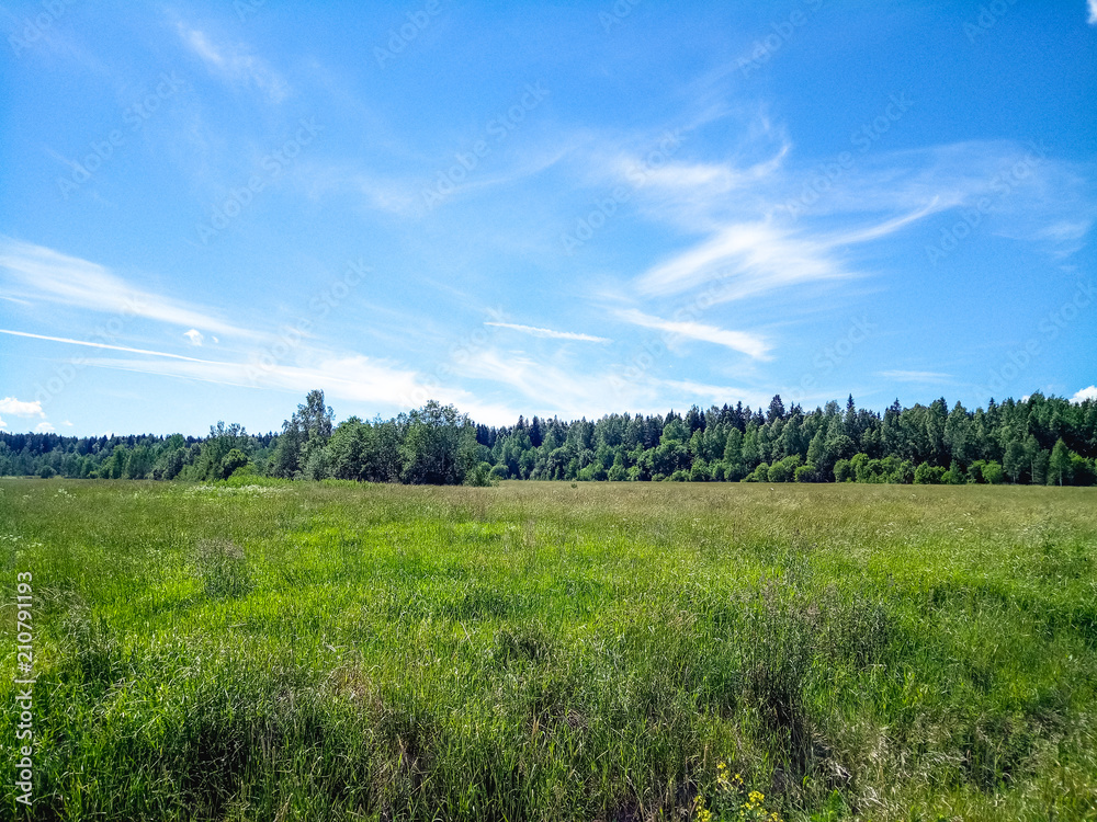Green field with forest on the horizon and blue sky with clouds.