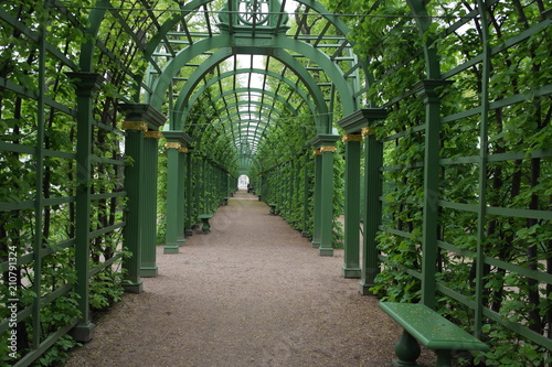The Summer Garden Saint Petersburg, Russia