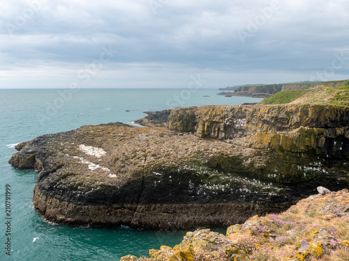 Landscape of the spectacular cliffs at Fowlsheugh,Scotland photo