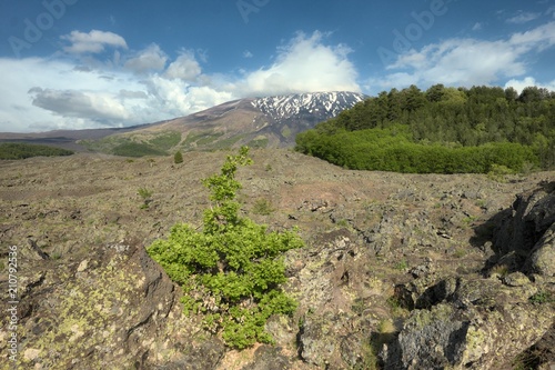 Ancient Encrusted Lava Cooled Under Etna Mount, Sicily photo