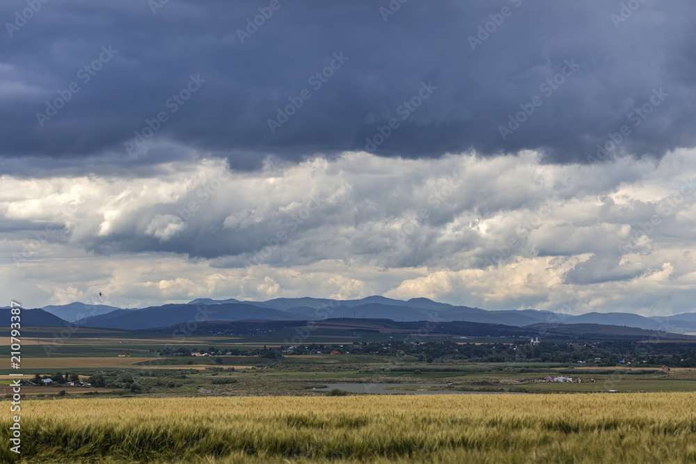 Landscape in Neamt - Romania in the summer season