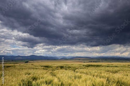 Landscape in Neamt - Romania in the summer with cloudy sky