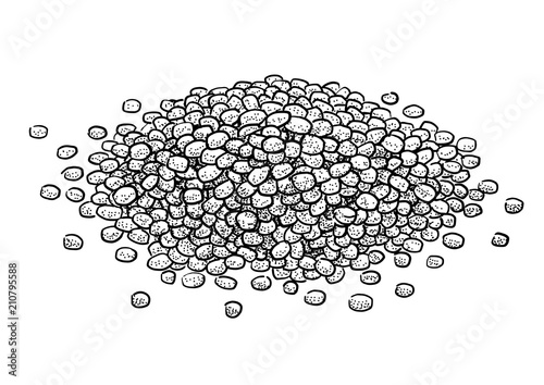 Dried couscous, semolina, pasta illustration, drawing, engraving, ink, line art, vector