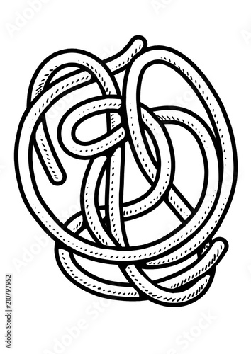 Spaghetti, pasta illustration, drawing, engraving, ink, line art, vector