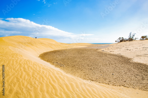 The idyllic Maspalomas Natural Preserve on Gran Canaria Island  Atlantic Ocean  Canary Island  Spain