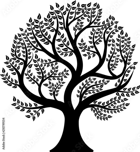 Tree isolated on white background