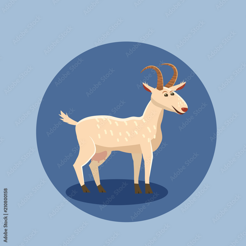 Obraz Cute goat vector illustration isolated. Farm animal goat cartoon character.
