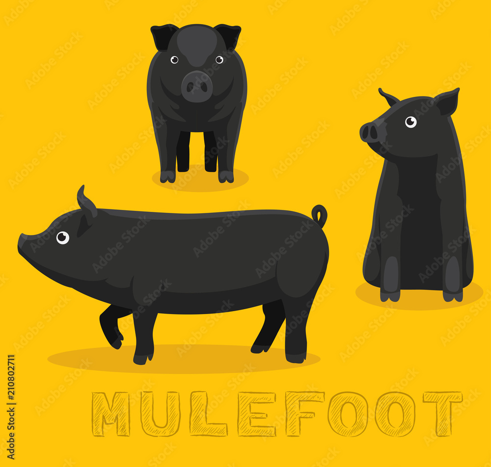 Pig Mulefoot Cartoon Vector Illustration Stock Vector | Adobe Stock