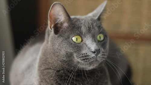 CAT 2