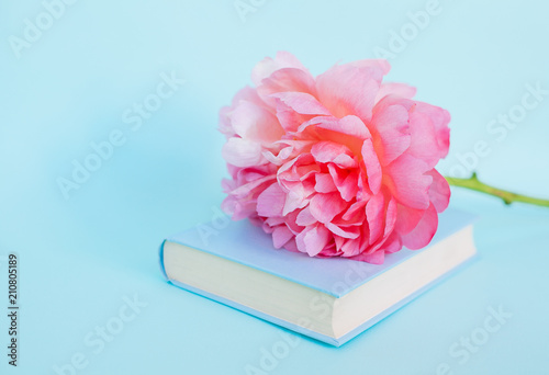 Peony flower and book on blue background