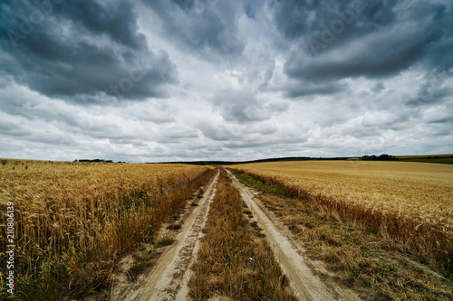 Landwirtschaft, Feld mit Wolken