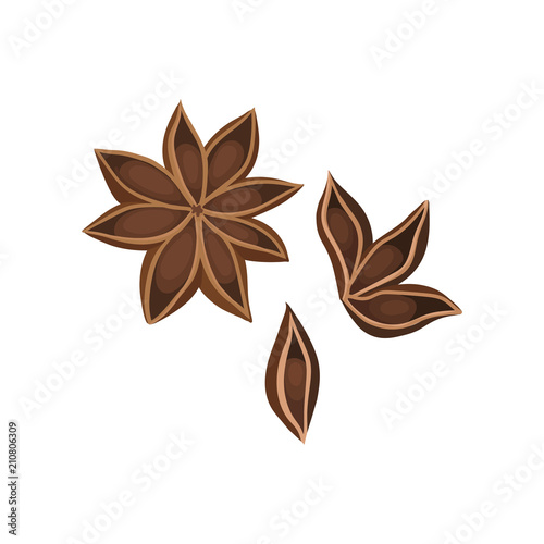 Flat vector icon of dry star anise with seeds. Used as aromatic seasoning in cooking. Ingredient for dishes and mulled wine