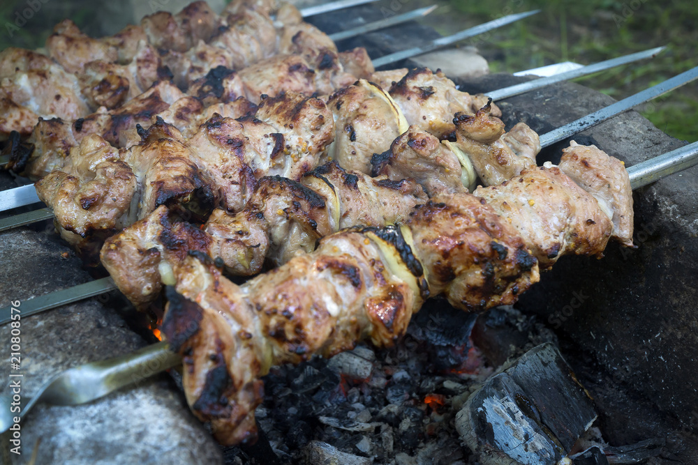 Closeup of meat skewers being grilled in a barbecue. Closeup of meat skewers being grilled in a barbecue.