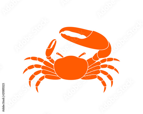 Fiddler crab. Logo. Isolated crab on white background