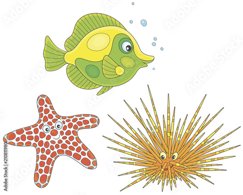 Long-spine sea urchin, a spotted starfish and a tropical coral fish, vector illustrations in a cartoon style photo