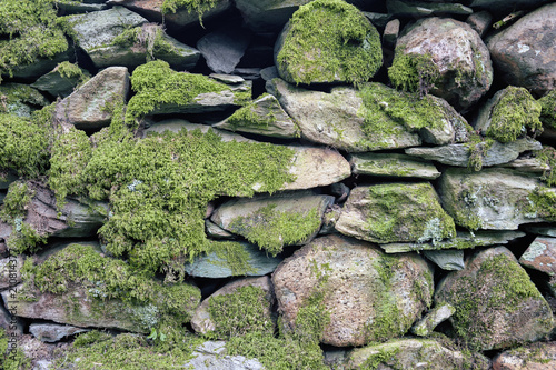 Pattern and texture background of old stone wall covered with clumps of green moss