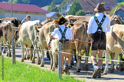 Viehscheid - Allgäu - Bolsterlang - Herde - Hirten - Almabtrieb