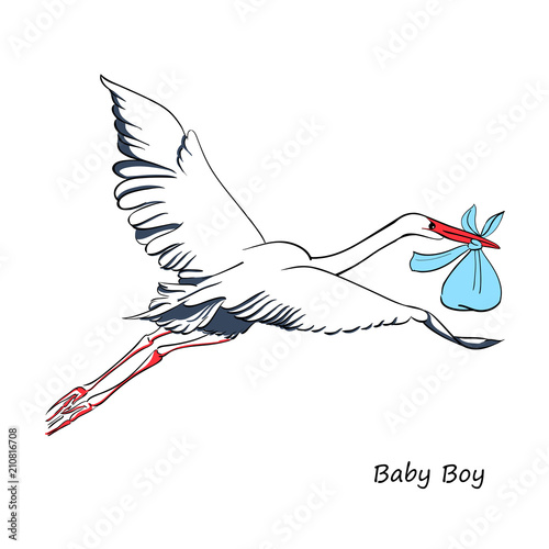 Stork bird