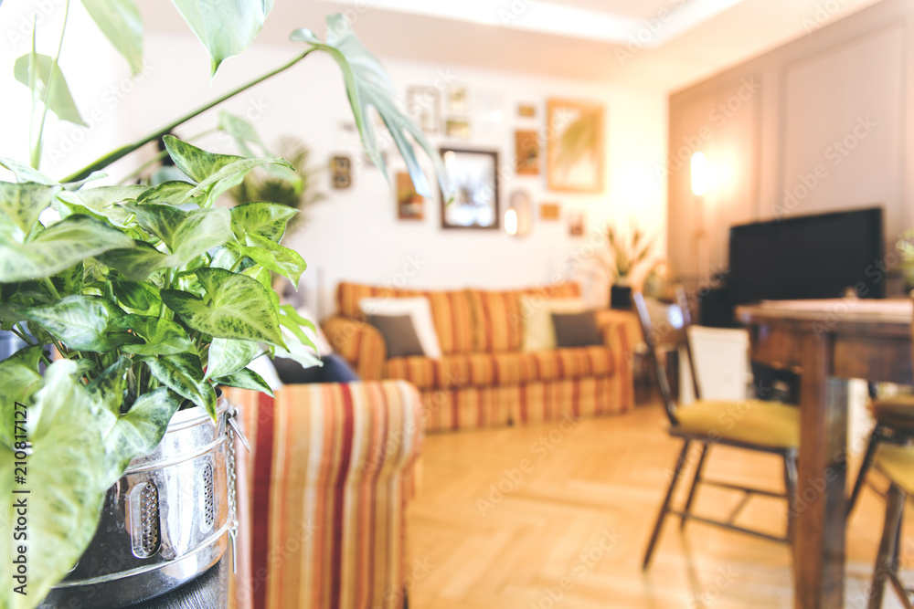 Stylish and modern living room with design sofa with pillows, beautiful plants, wooden table and a lot of mock up frames on the white wall. Stylish and modern living room with design sofa with pillows, beautiful plants, wooden table and a lot of mock up frames on the white wall.