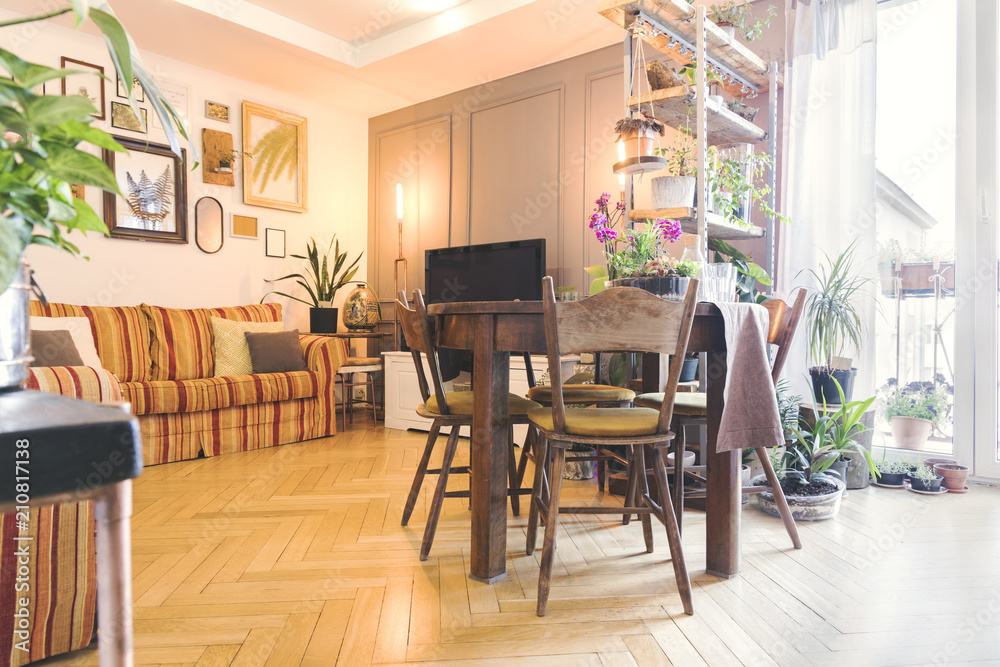 Fototapeta premium Stylish and modern space with wooden shelf with a lot of different plants, vintage table, sofa and photo frames . Concept of home garden in sunny and bright space of living room.