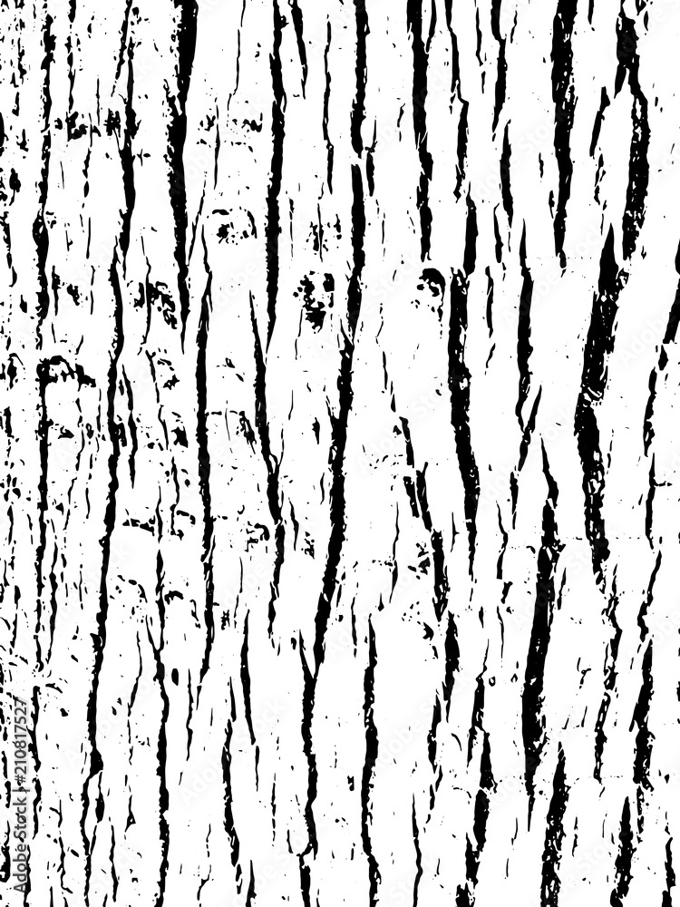 Tree bark texture. Wooden background for graphic design.
