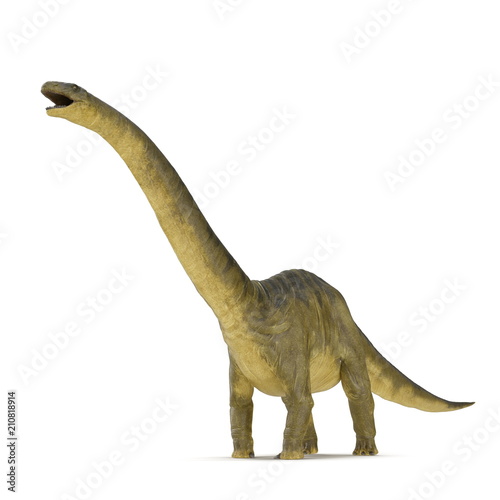 Apatosaurus Dinosaur on white. 3D illustration © 2dmolier