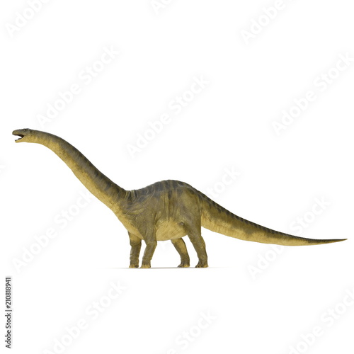 Apatosaurus Dinosaur on white. 3D illustration
