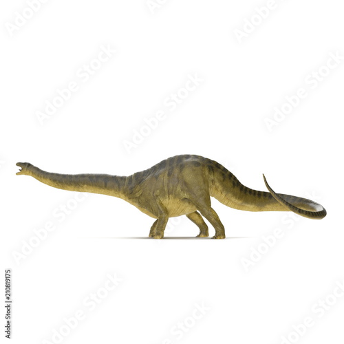 Apatosaurus Dinosaur on white. Side view. 3D illustration
