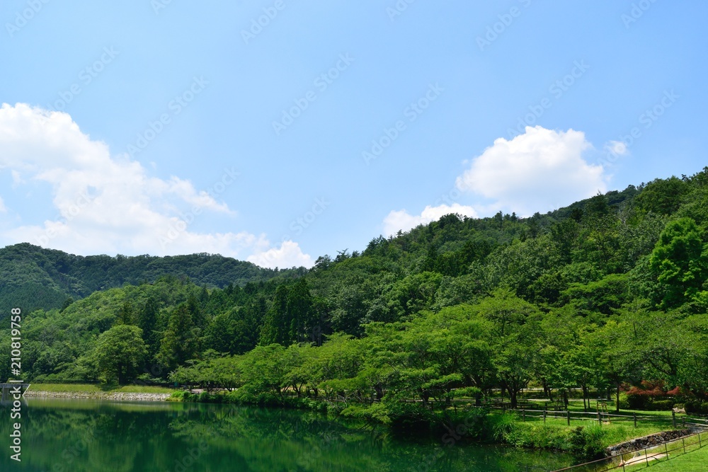 Fototapeta premium 新緑の丹波ささやま