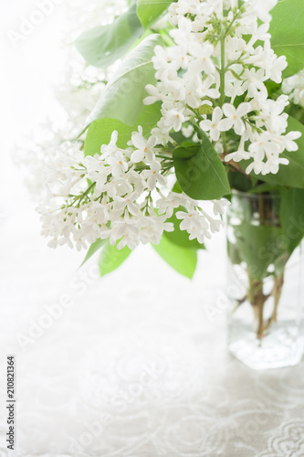Branch of white lilac in glassful with copy space. High key. 