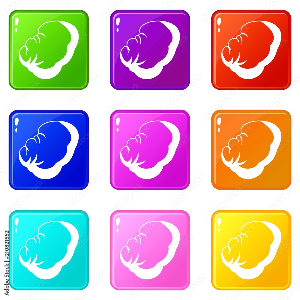 Spleen icons of 9 color set isolated vector illustration