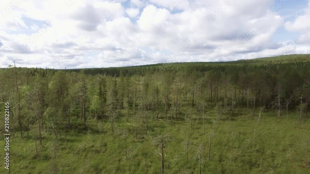 Beautiful finnish wilderness untouched by humans. Shots are from Pisavaara's natural park which I visited with a special permission. Beautiful finnish wilderness untouched by humans. Shots are from Pisavaara's natural park which I visited with a special permission.